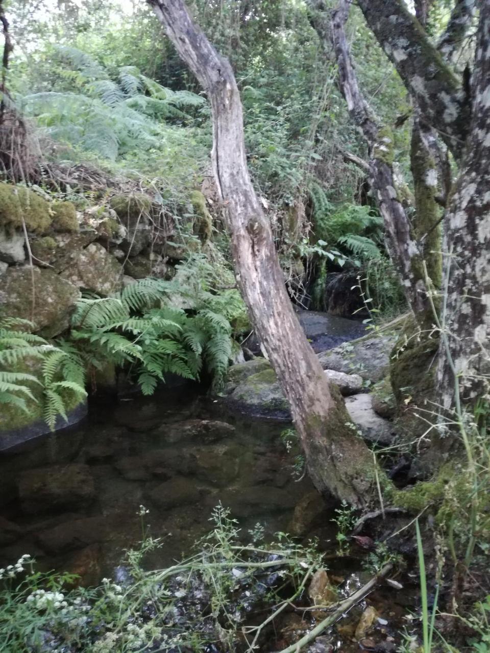 Casa Rural Mirador Del Valle Cepeda Kültér fotó